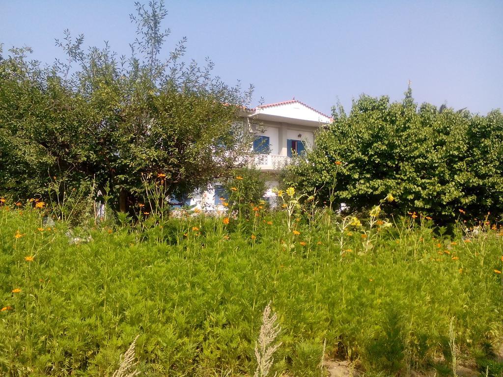 Guesthouse Karidia Skala Eresou Buitenkant foto