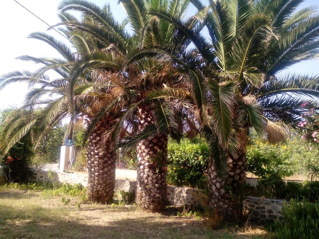 Guesthouse Karidia Skala Eresou Buitenkant foto
